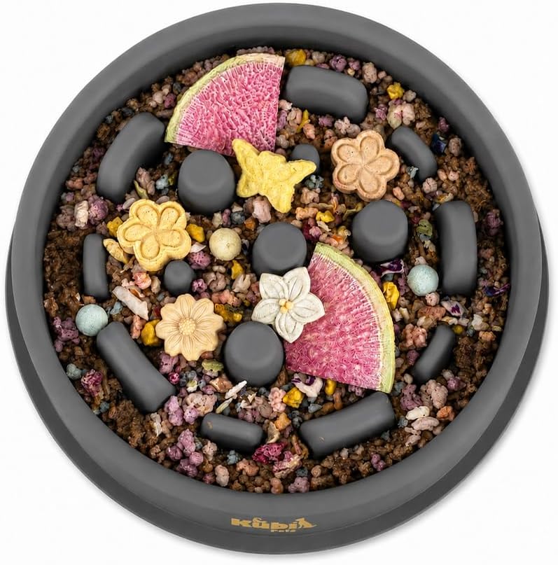 Slow Feeder Dog Bowl